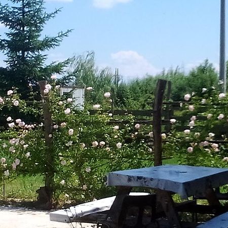 Rooms Ma La Karlovac Bagian luar foto